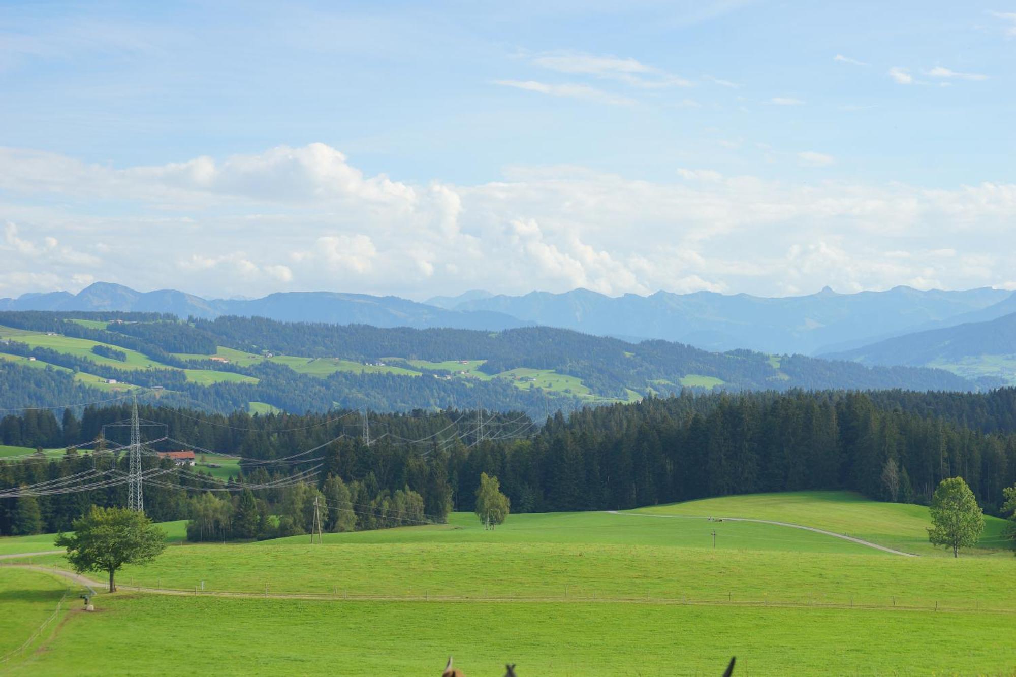 Apartment Relax - Mit Pool Und Sauna Scheidegg